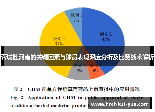 蓉城胜河南的关键因素与球员表现深度分析及比赛战术解析