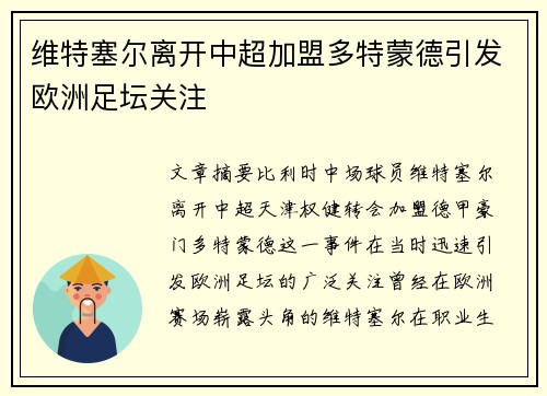 维特塞尔离开中超加盟多特蒙德引发欧洲足坛关注 维特塞尔离开中超加盟多特蒙德引发欧洲足坛关注